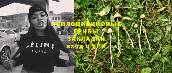 метадон Ельня