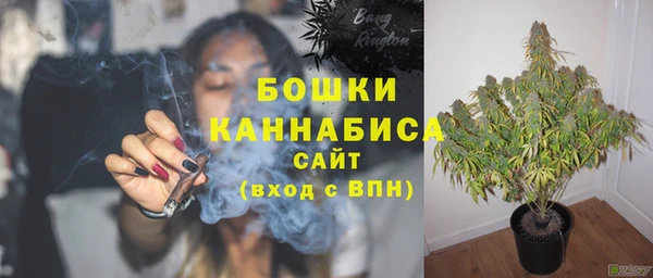Альфа ПВП Дмитровск