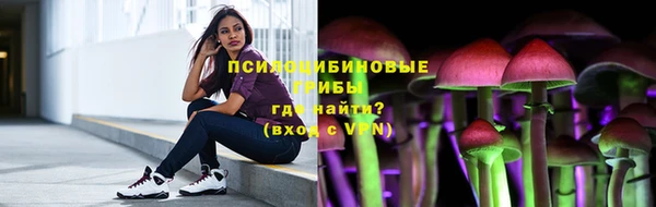 метадон Ельня