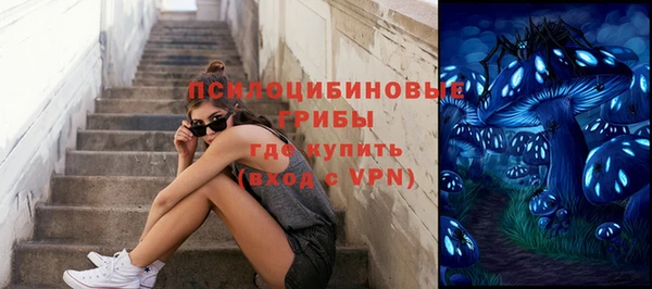 дживик Дмитриев
