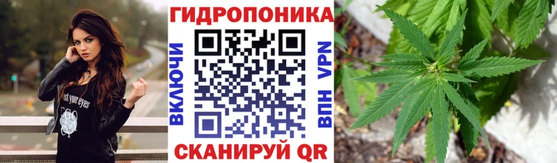 МАРИХУАНА семена Сальск