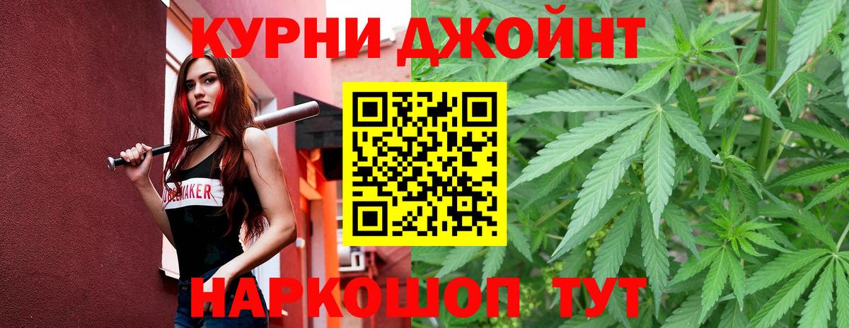 Канабис конопля Сальск